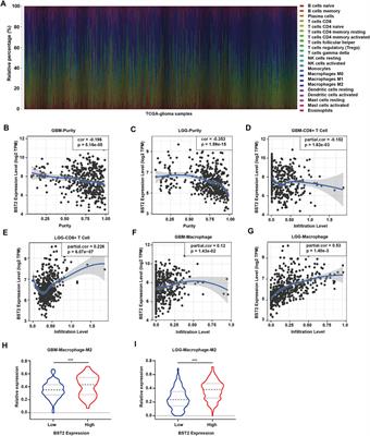 Identification of BST2 Contributing to the Development of Glioblastoma Based on Bioinformatics Analysis